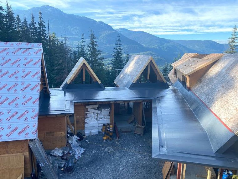 Recent roofing project